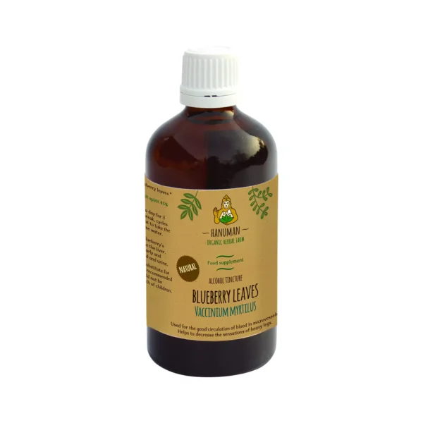 Bilberry Leaf Tincture 100 ml – Organic