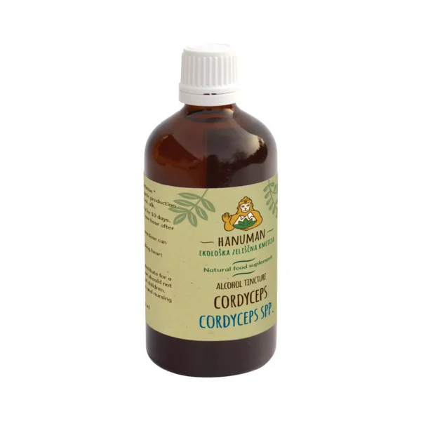 Cordyceps Tincture 50 ml – Organic