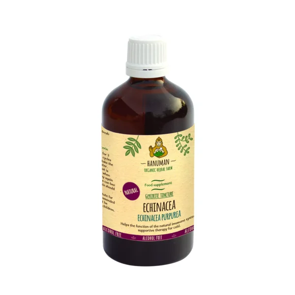 Alcohol-Free Echinacea Extract 100 ml – Organic