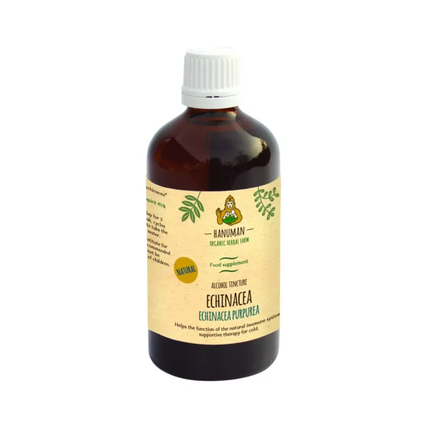 Echinacea Tincture 100 ml – Organic