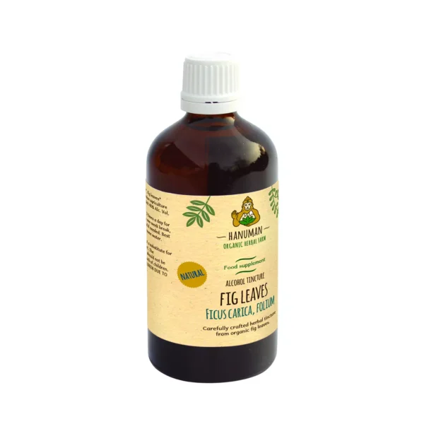Fig Leaves Tincture 100 ml – Organic