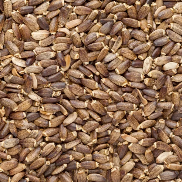 Milk thistle seeds – ORGANIC