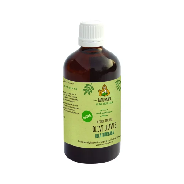 Olive Leaf Tincture 100 ml – Organic