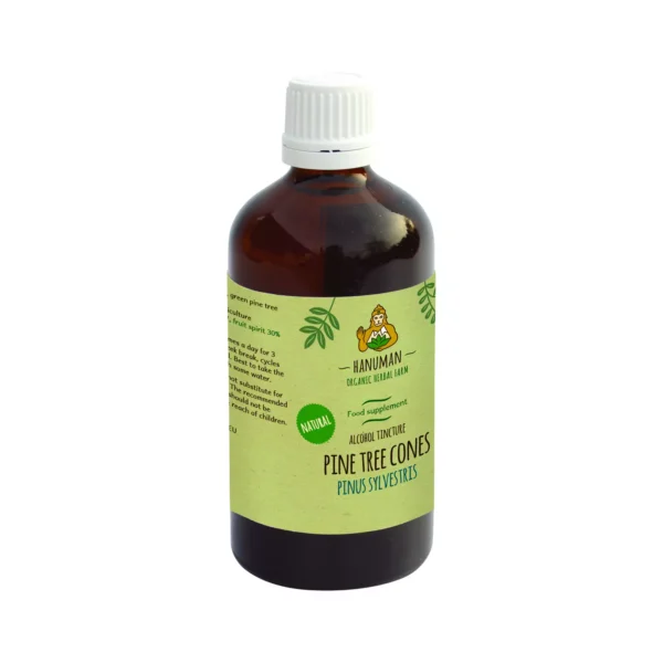 Pine Cone Tincture 100 ml – Organic