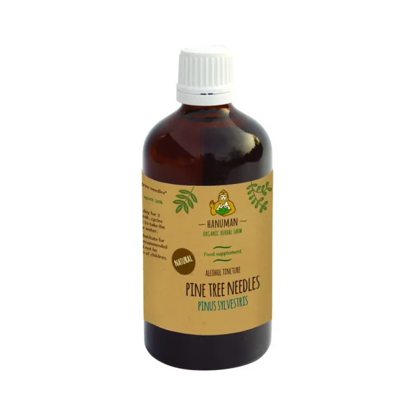 Pine Needle Tincture 100 ml – Organic