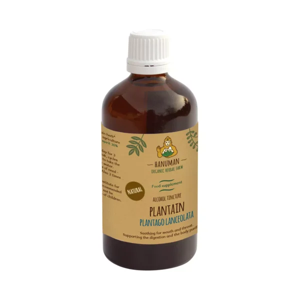 Plantain Tincture 100 ml – Organic