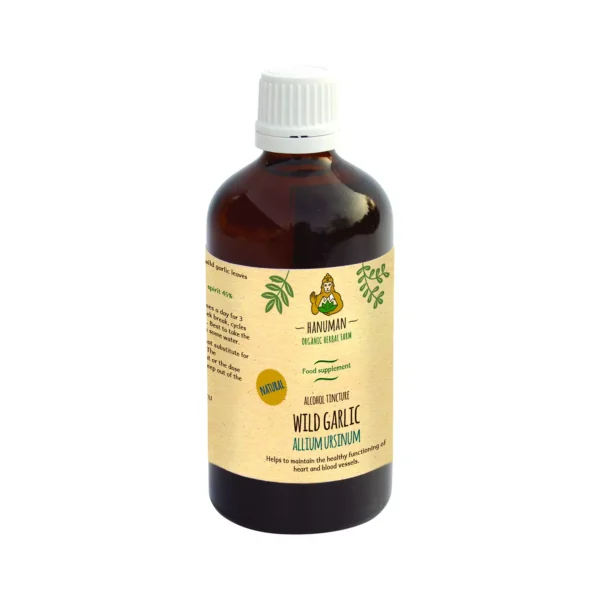 Wild Garlic Tincture 100 ml – Organic
