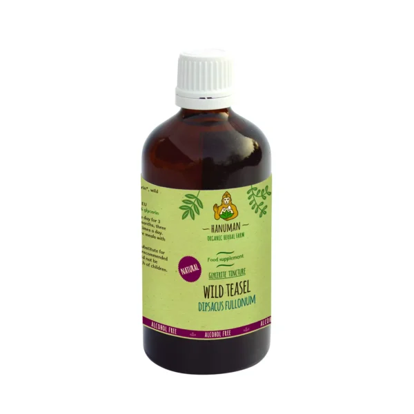 Alcohol-Free Wild Teasel Extract 100 ml – Organic