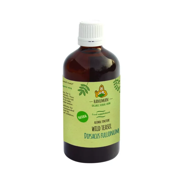 Wild Teasel Tincture 100 ml – Organic